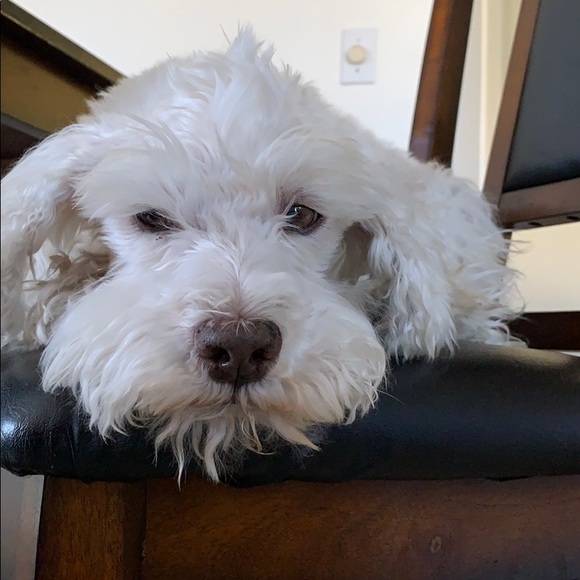 Meet your Posher, Chiemi - Picture 1 of 1